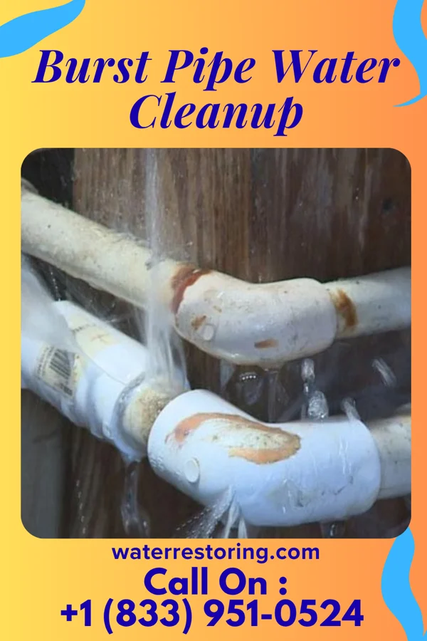 Burst Pipe Water Cleanup in Jordan, NY