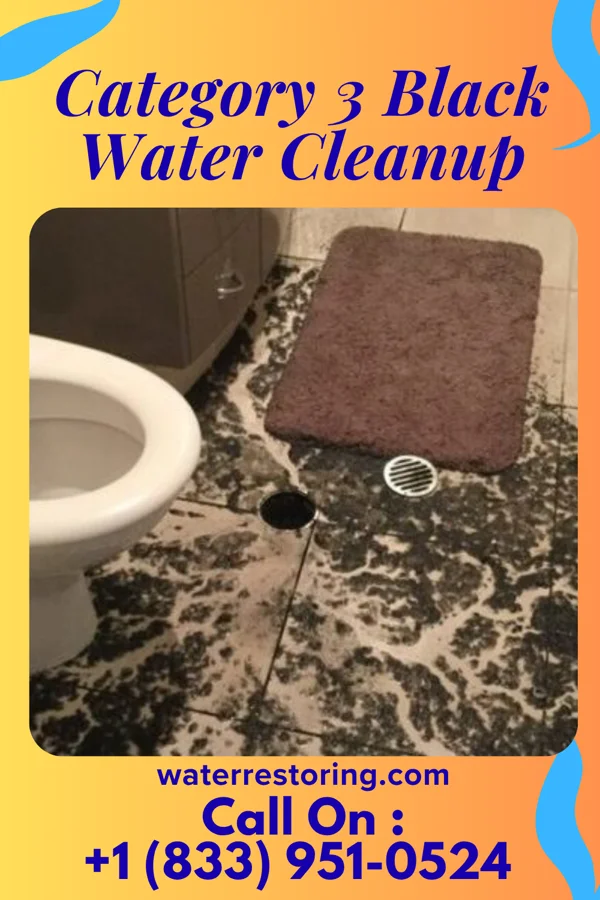 Category 3 Black Water Cleanup in Jordan, NY