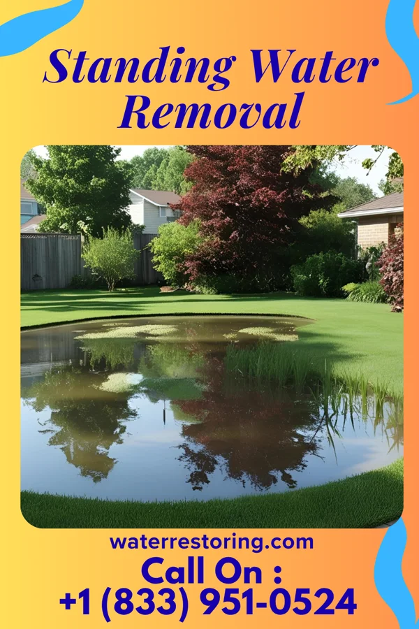 Standing Water Removal in Jordan, NY